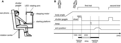 Whole-Body Roll Tilt Influences Goal-Directed Upper Limb Movements through the Perceptual Tilt of Egocentric Reference Frame